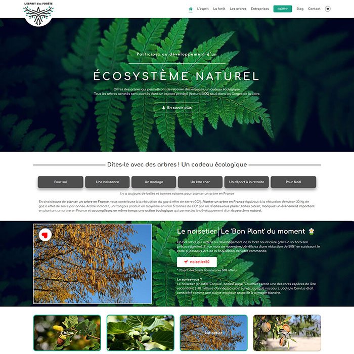 L'Esprit des Forêts